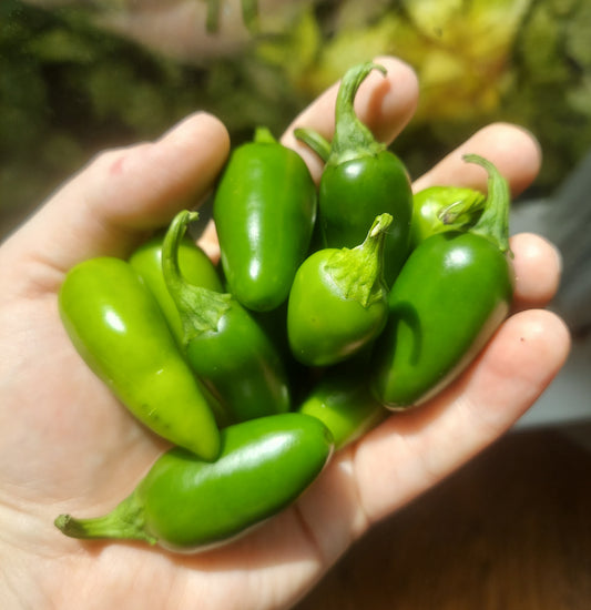 Organic Jalapeños