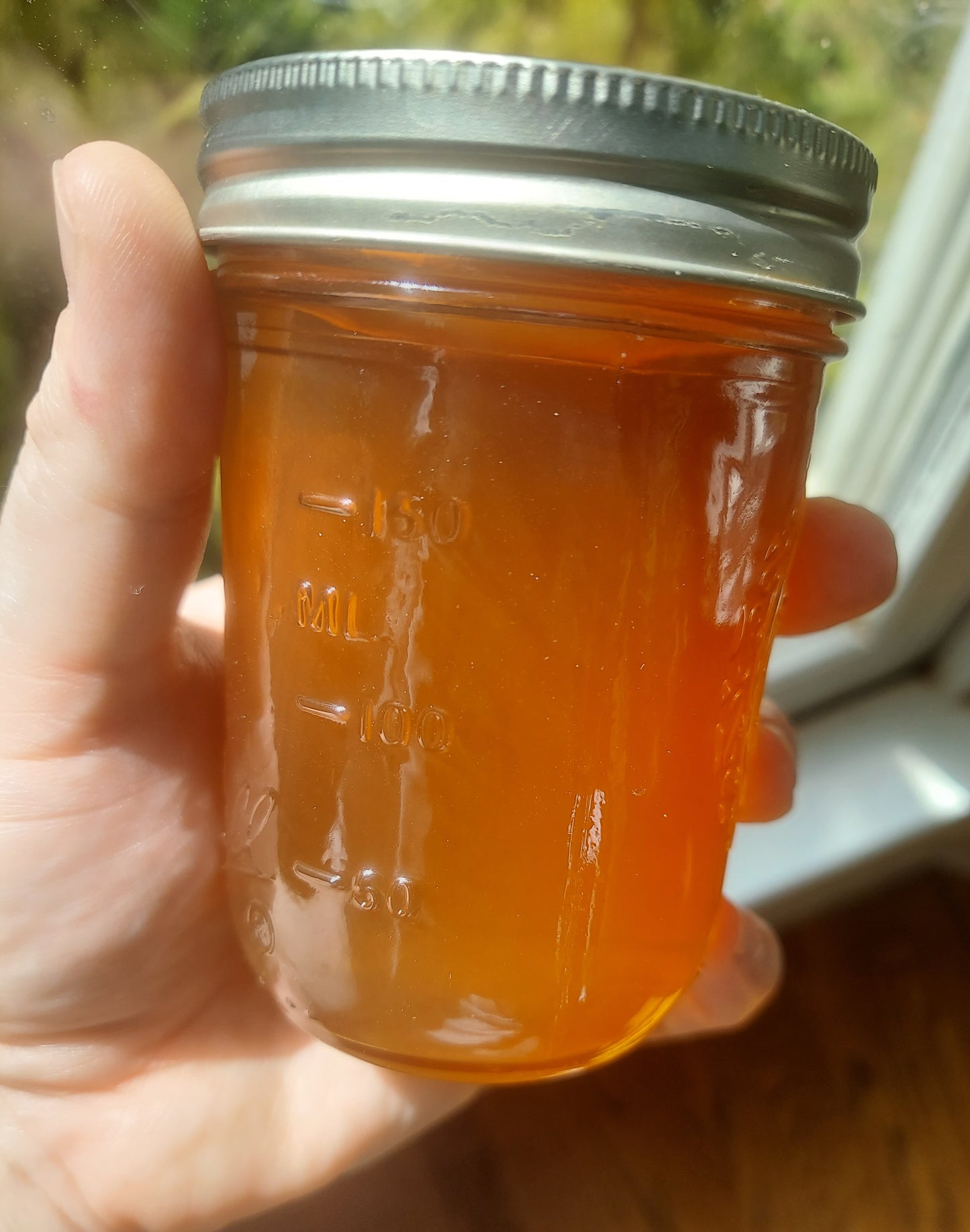 All Natural Seasonal Wild Clover Bud Jelly