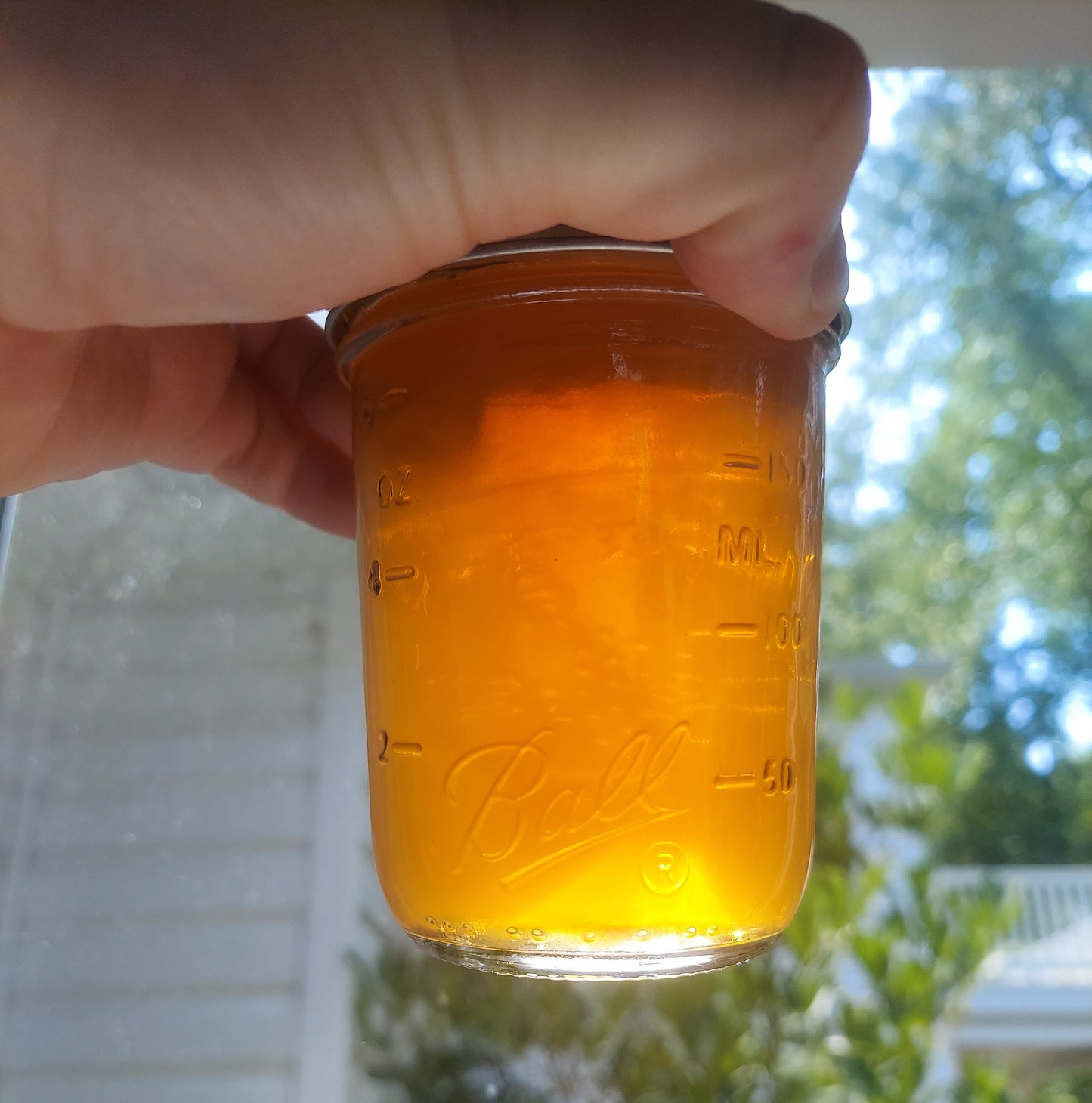 All Natural Seasonal Wild Clover Bud Jelly