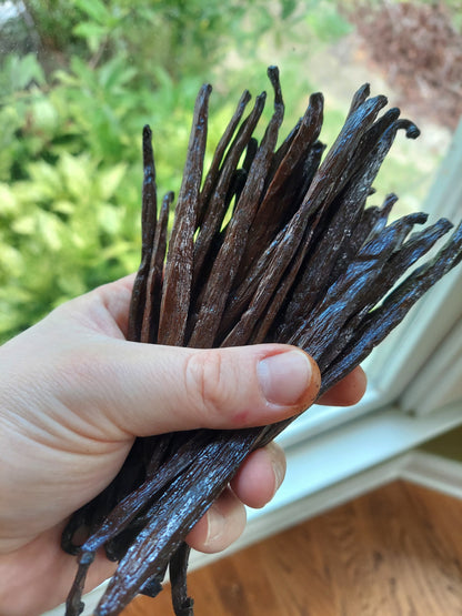 Organic Madagascar Pure Vanilla Extract 4oz