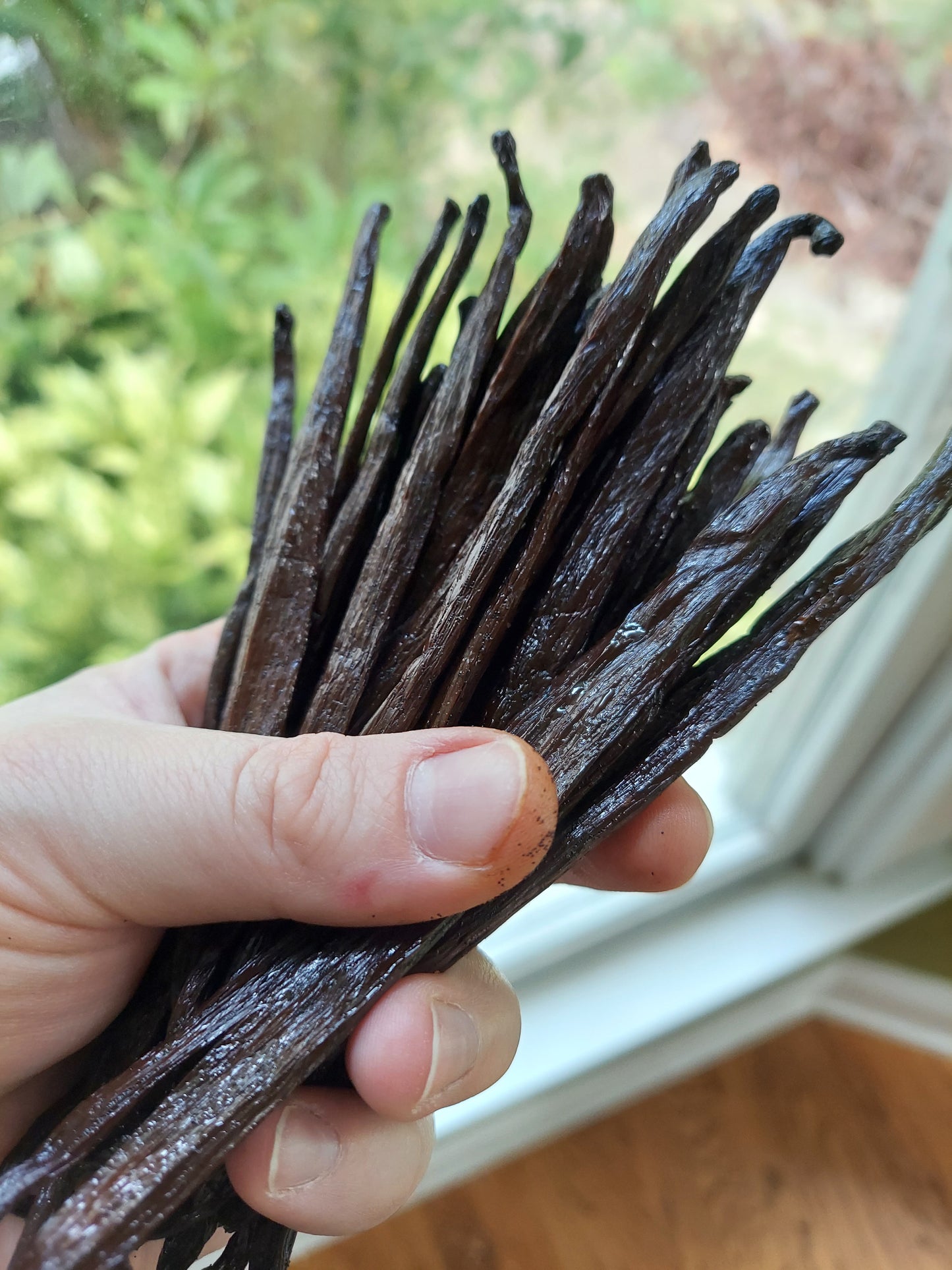Organic Madagascar Pure Vanilla Extract 4oz