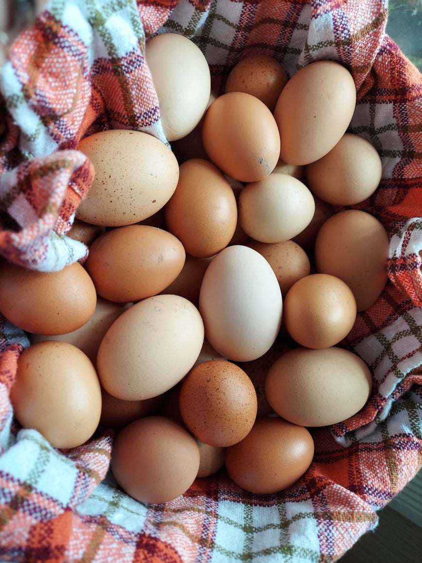 Dozen Eggs