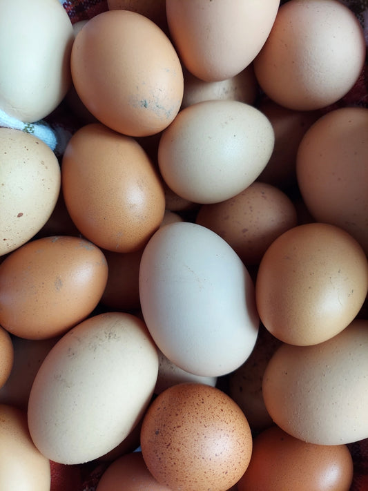 Dozen Eggs