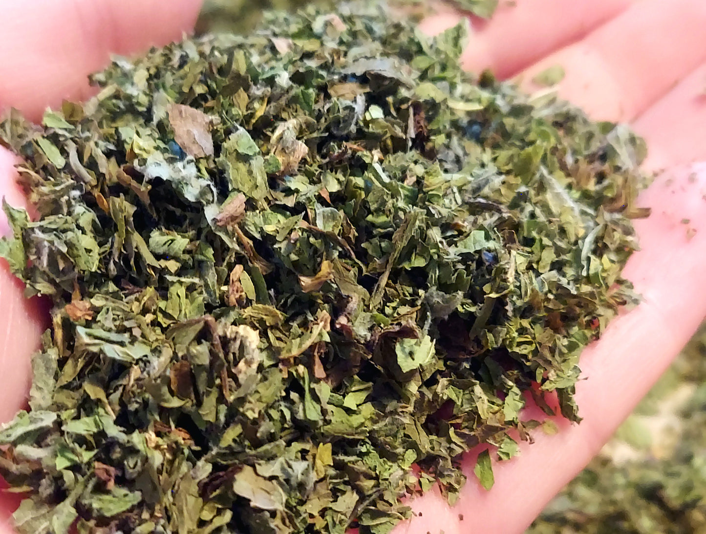 Organic Herbal Teas
