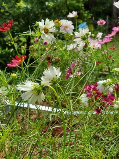 Fresh Floral Bouquet