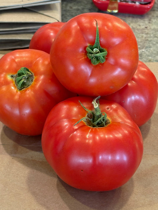 Organic Tomatoes - Large Size